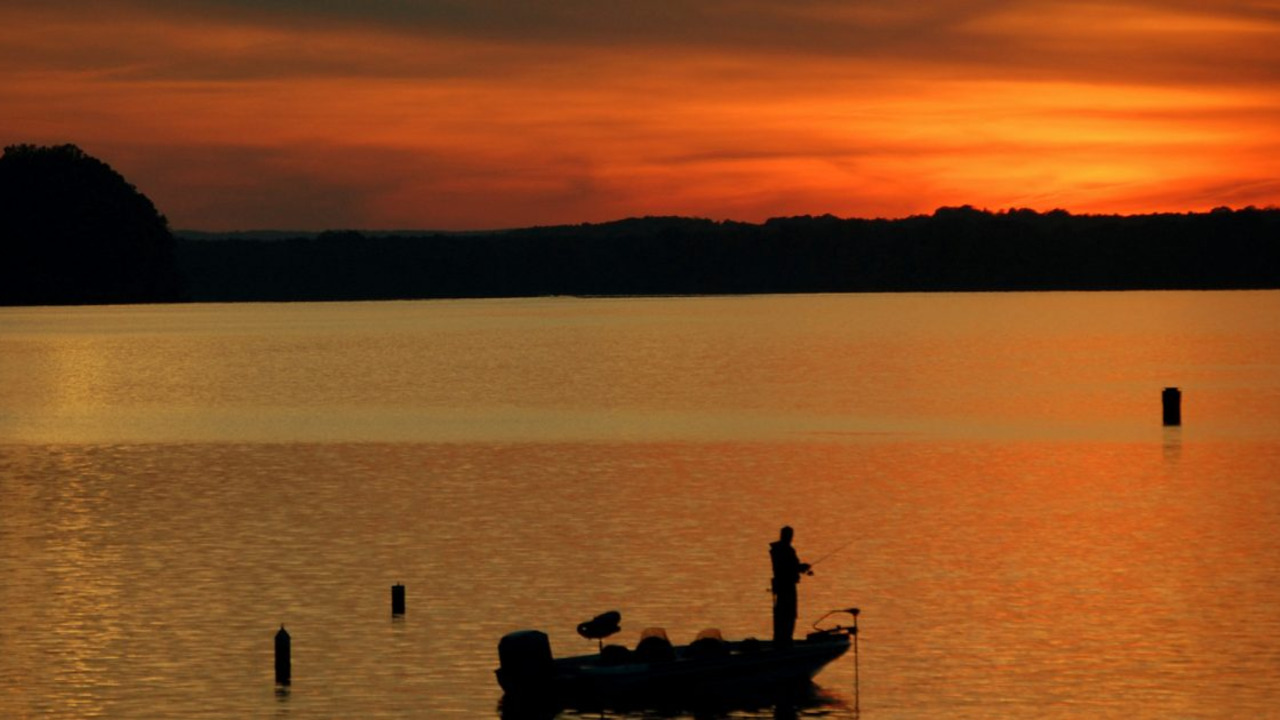 best lakes near Huntsville Wilson Lake